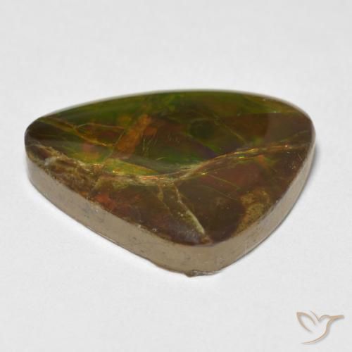 amolita Multicolorido Natural 13.26ct, Chique, Opaco