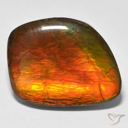 15.38ct Natural Multicolorido amolita, Chique, Opaco