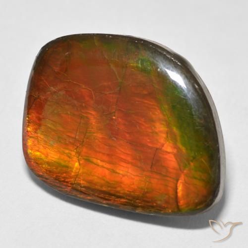 amolita Multicolorido Natural 15.38ct, Chique, Opaco