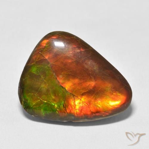 13.25ct Natural Multicolorido amolita, Chique, Opaco