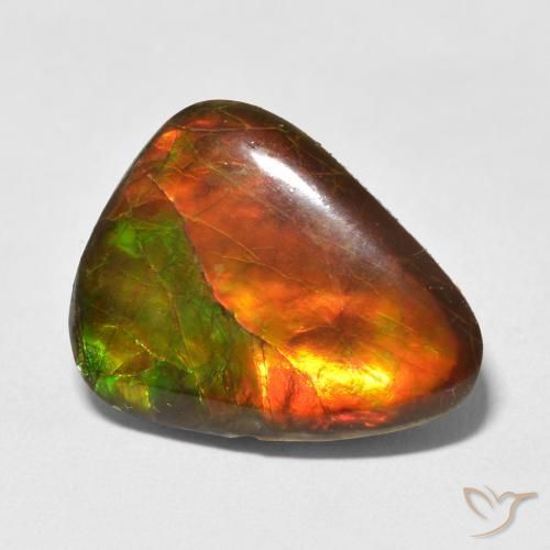 amolita Multicolorido Natural 13.25ct, Chique, Opaco