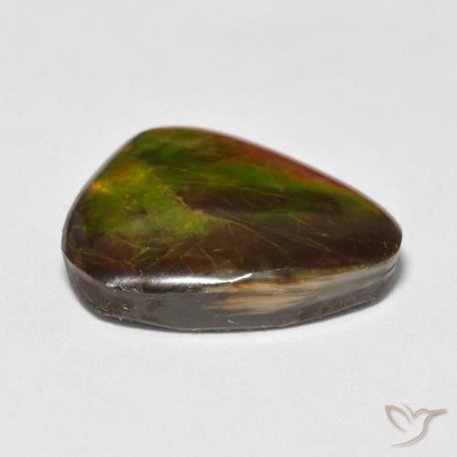 amolita Multicolorido Natural 13.25ct, Chique, Opaco
