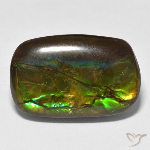 16.16ct Natural Multicolorido amolita, Chique, Opaco
