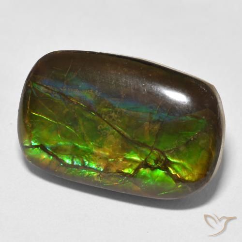 amolita Multicolorido Natural 16.16ct, Chique, Opaco