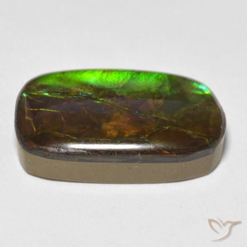 amolita Multicolorido Natural 16.16ct, Chique, Opaco