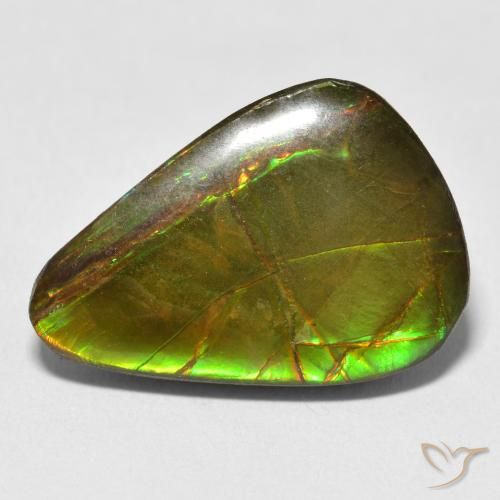 11.59ct Natural Multicolorido amolita, Formato de pêra, Opaco