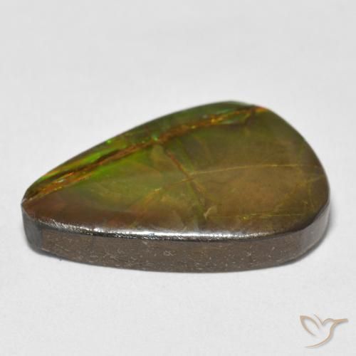amolita Multicolorido Natural 11.59ct, Formato de pêra, Opaco