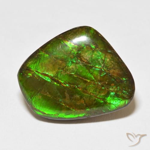 18.11ct Natural Multicolorido amolita, Chique, Opaco