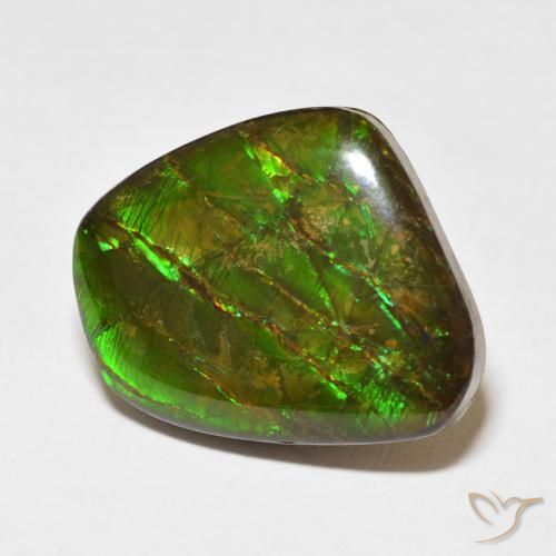 amolita Multicolorido Natural 18.11ct, Chique, Opaco