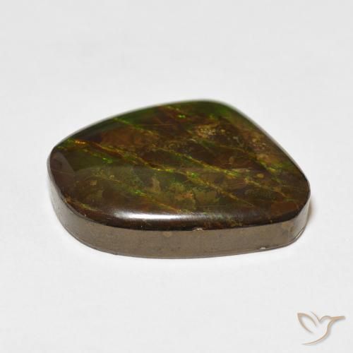 amolita Multicolorido Natural 18.11ct, Chique, Opaco