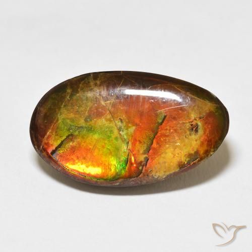15.62ct Natural Multicolorido amolita, Chique, Opaco