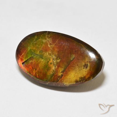 amolita Multicolorido Natural 15.62ct, Chique, Opaco
