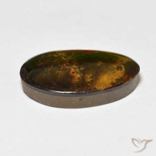 amolita Multicolorido Natural 15.62ct, Chique, Opaco