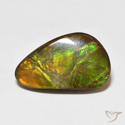 14.61ct Natural Multicolorido amolita, Chique, Opaco