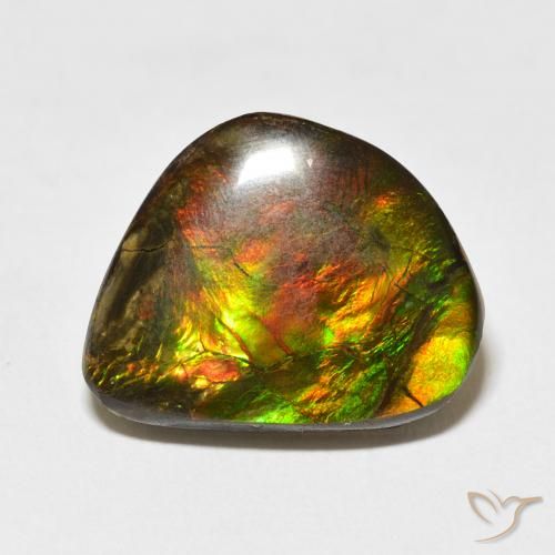11.60ct Natural Multicolorido amolita, Chique, Opaco