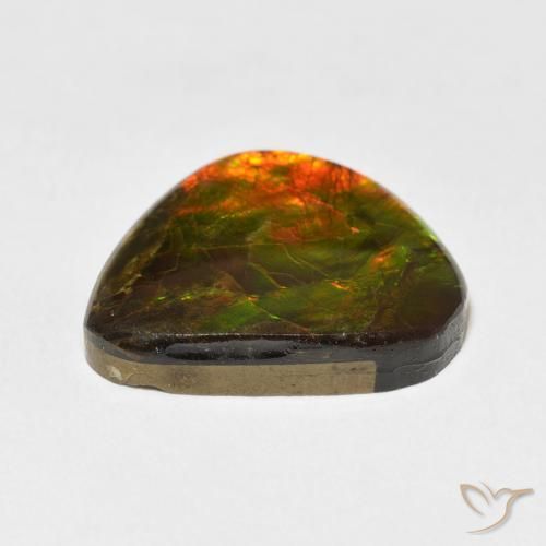amolita Multicolorido Natural 11.60ct, Chique, Opaco