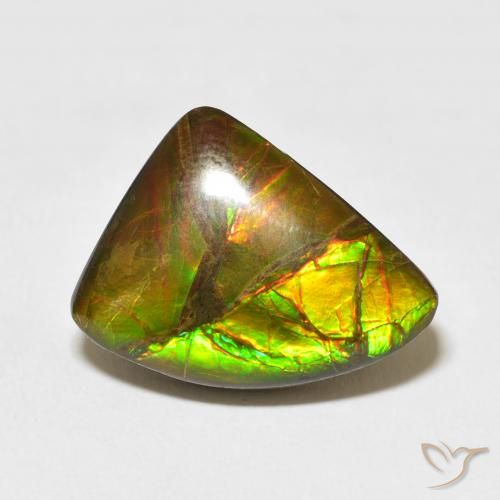 10.22ct Natural Multicolorido amolita, Chique, Opaco