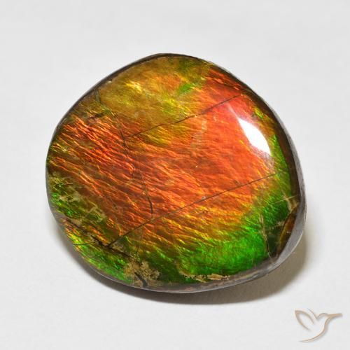 amolita Multicolorido Natural 17.77ct, Chique, Opaco