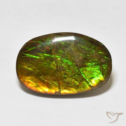 16.55ct Natural Multicolorido amolita, Chique, Opaco