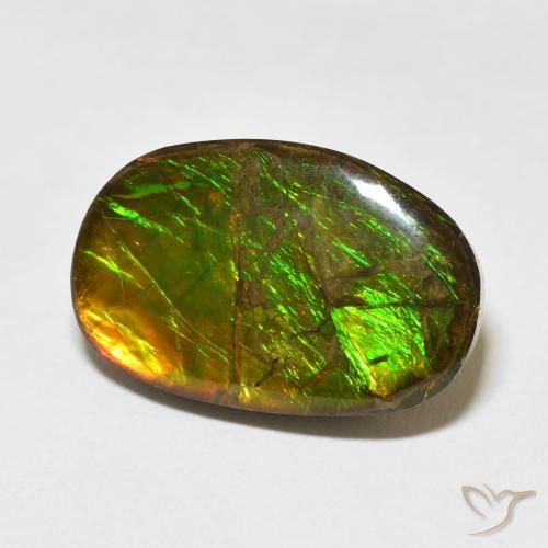 amolita Multicolorido Natural 16.55ct, Chique, Opaco
