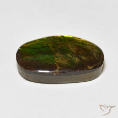 amolita Multicolorido Natural 16.55ct, Chique, Opaco