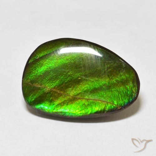 15.09ct Natural Multicolorido amolita, Chique, Opaco