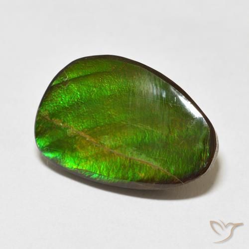 amolita Multicolorido Natural 15.09ct, Chique, Opaco