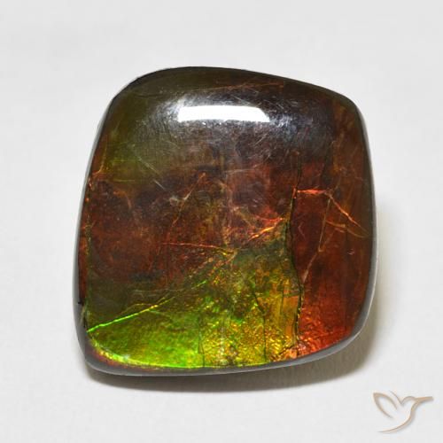 11.81ct Natural Multicolorido amolita, Chique, Opaco