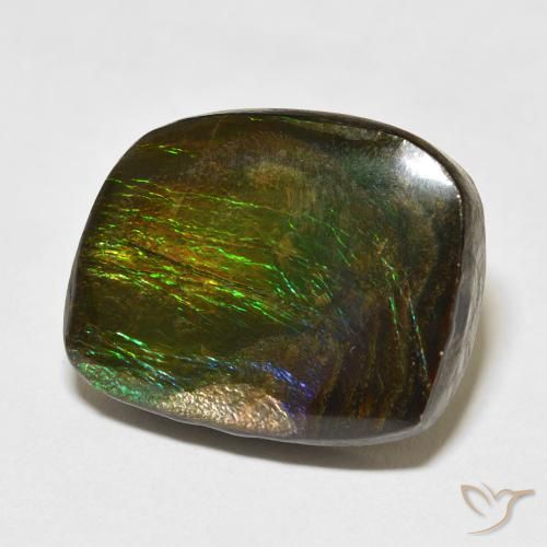 amolita Multicolorido Natural 19.50ct, Chique, Opaco
