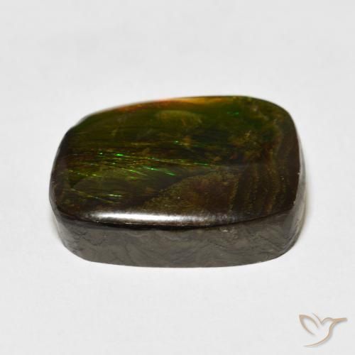 amolita Multicolorido Natural 19.50ct, Chique, Opaco