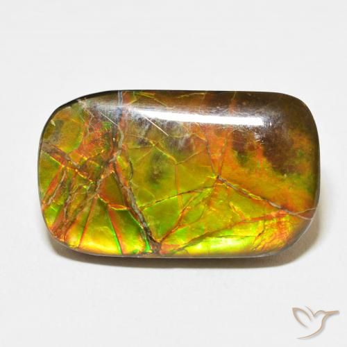 16.23ct Natural Multicolorido amolita, Almofada, Opaco