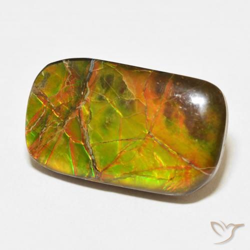amolita Multicolorido Natural 16.23ct, Almofada, Opaco