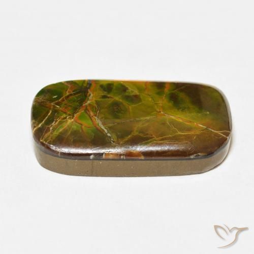 amolita Multicolorido Natural 16.23ct, Almofada, Opaco