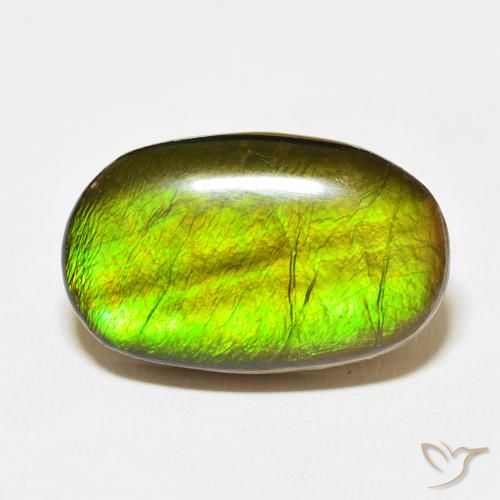 13.74ct Natural Multicolorido amolita, oval, Opaco