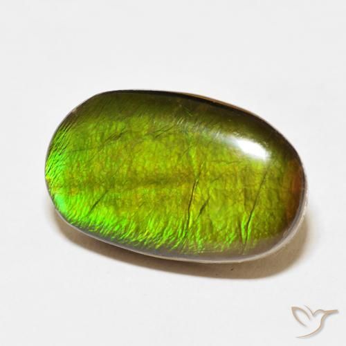 amolita Multicolorido Natural 13.74ct, oval, Opaco