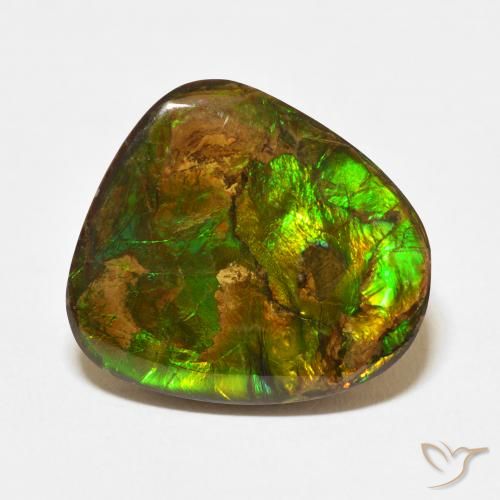 13.95ct Natural Multicolorido amolita, Chique, Opaco