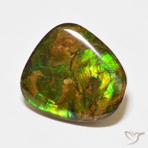 amolita Multicolorido Natural 13.95ct, Chique, Opaco