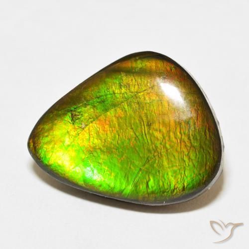 amolita Multicolorido Natural 15.27ct, Chique, Opaco