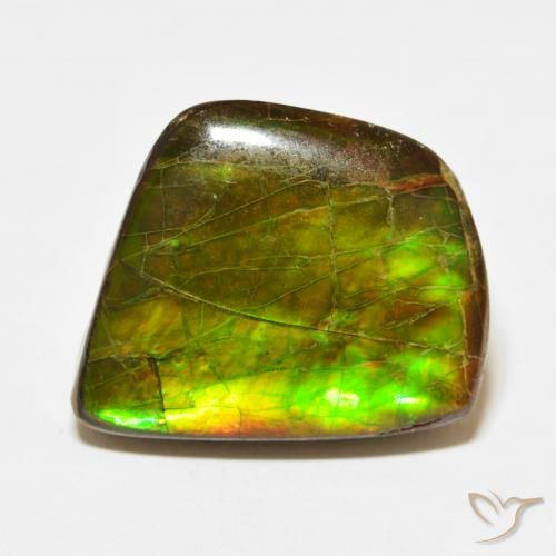 21.56ct Natural Multicolorido amolita, Chique, Opaco