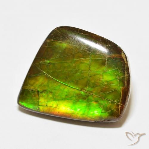 amolita Multicolorido Natural 21.56ct, Chique, Opaco