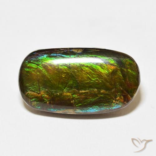 12.73ct Natural Multicolorido amolita, Chique, Opaco