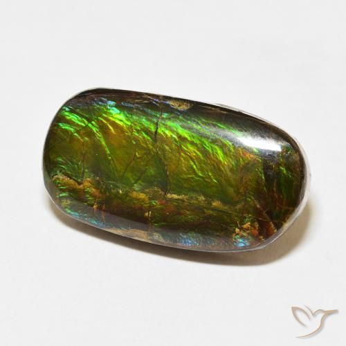 amolita Multicolorido Natural 12.73ct, Chique, Opaco