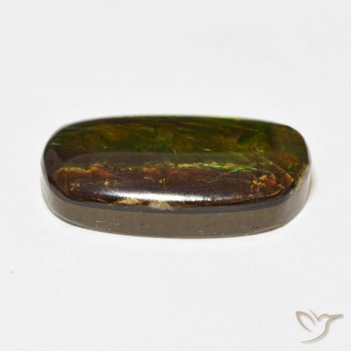 amolita Multicolorido Natural 12.73ct, Chique, Opaco