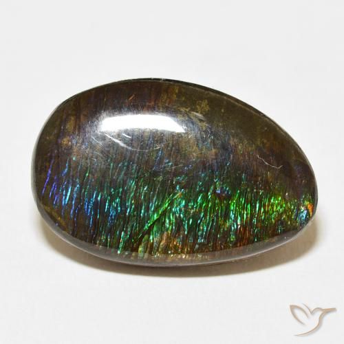 14.24ct Natural Multicolorido amolita, Chique, Opaco