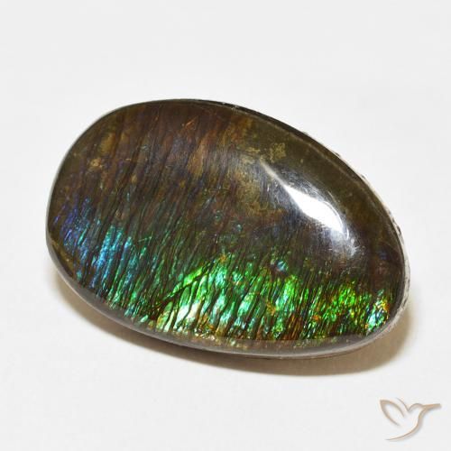 amolita Multicolorido Natural 14.24ct, Chique, Opaco