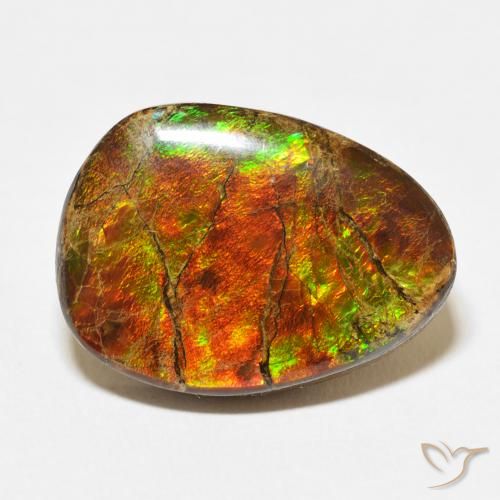 15.07ct Natural Multicolorido amolita, Chique, Opaco