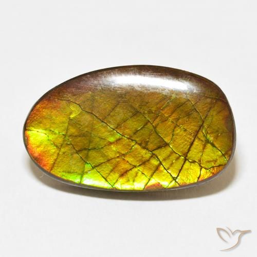 13.58ct Natural Multicolorido amolita, Chique, Opaco