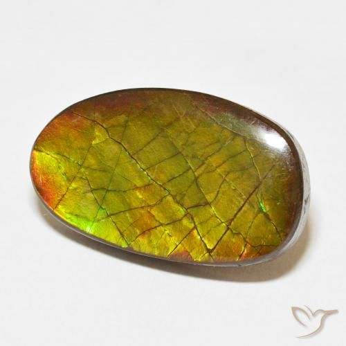amolita Multicolorido Natural 13.58ct, Chique, Opaco