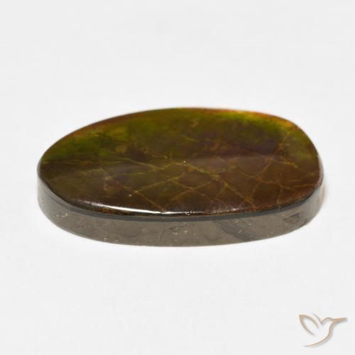 amolita Multicolorido Natural 13.58ct, Chique, Opaco