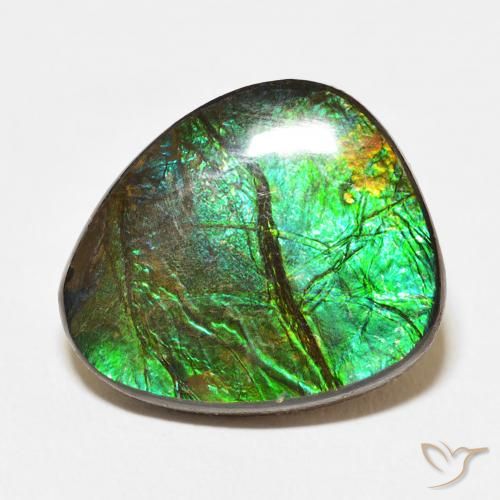 12.67ct Natural Multicolorido amolita, Chique, Opaco